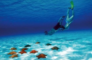 Cozumel