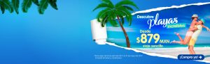 interjet promociones
